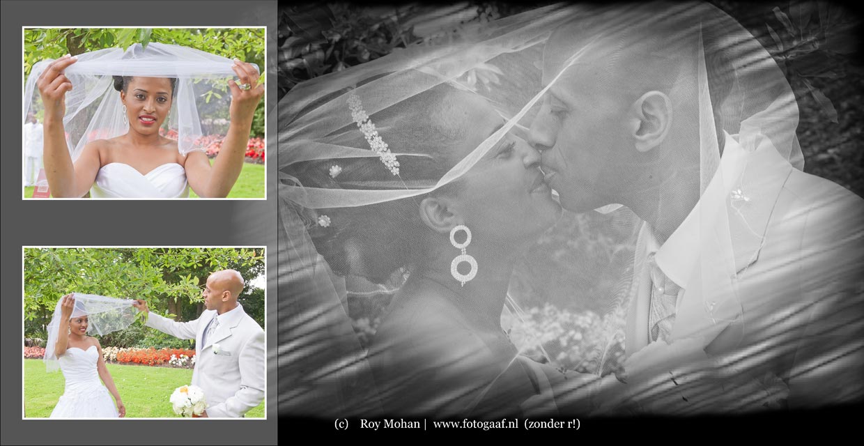 http://www.fotogaaf.nl/fotogaaf-trouwen-bruidsreportage-eritrea-utrecht-botansiche-montfoort-joseph/large/fotogaaf-trouwen-bruidsreportage-eritrea-utrecht-botansiche-montfoort-joseph