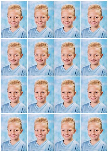 combinatievel bestaande uit 16 pasfoto's combinatievel bestaande uit 16 pasfoto's